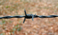 image-56d6096a33242-7733f5a11eb30e7ea95e558dc3a15aa5